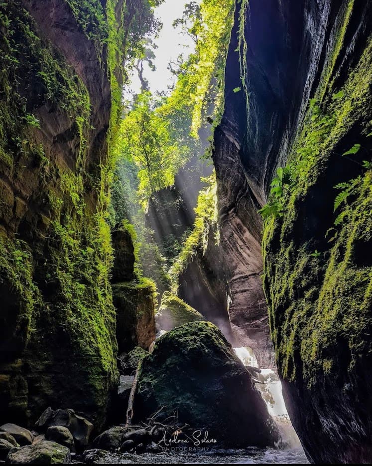 Tour La Vieja Adventures 7