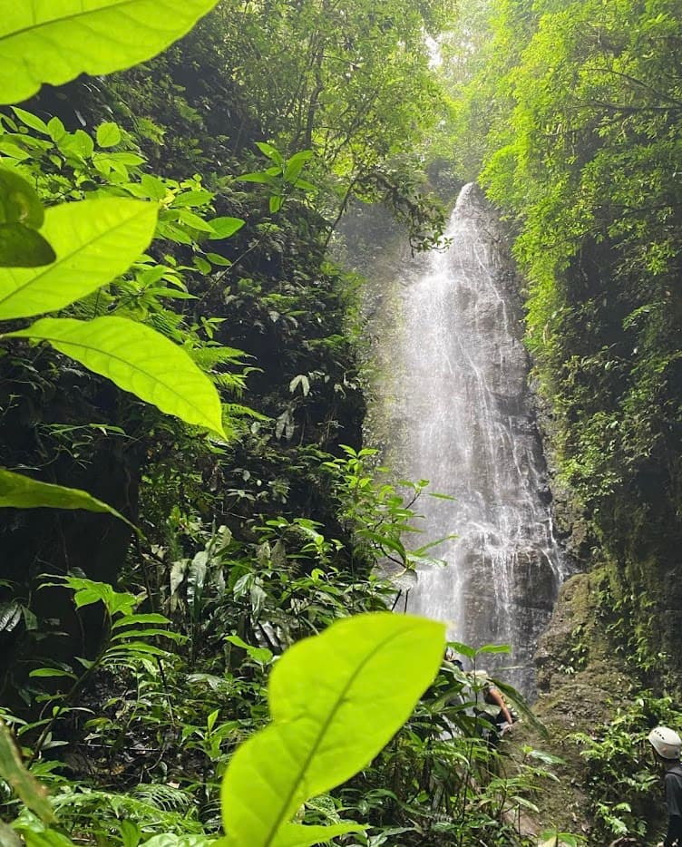 Tour La Vieja Adventures 22