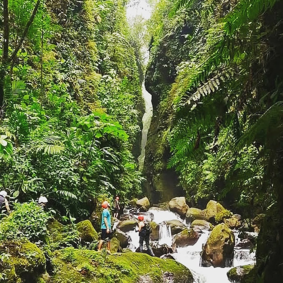 Lluvia en la Naturaleza 4
