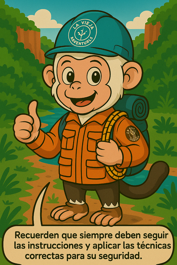 Wildo aventura